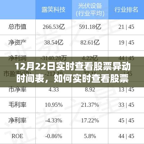如何实时查看股票异动时间表，以12月22日为例的详细步骤指南及实时更新动态监测解析
