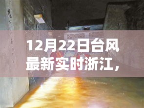 浙江遭遇猛烈台风袭击，最新实时动态与深远影响（12月22日更新）