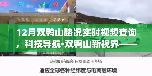科技导航·双鸭山新视界，智能路况实时视频查询系统，驾驭智能出行新时代