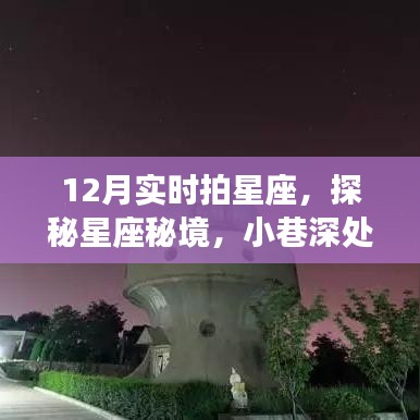 小鸟伊人 第3页