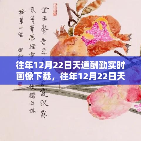 往年12月22日天道酬勤实时画像，勤奋塑造辉煌瞬间