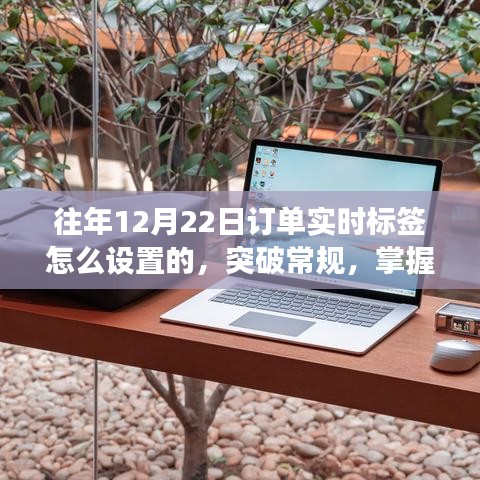 励志之旅，突破常规，掌握新技能——如何在往年12月22日设置订单实时标签的秘诀与经验分享