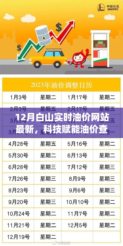 金石为开 第3页
