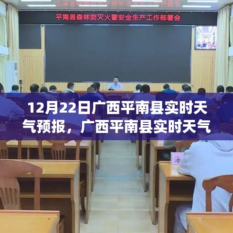 栖鸟于泉 第3页