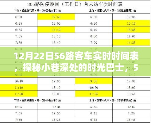 一石二鸟 第2页