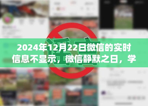 微信静默日，探索静默中的无限可能与学习变化之旅