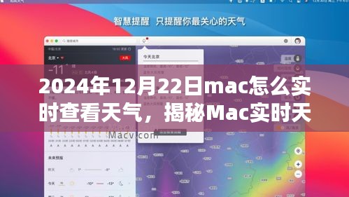 荣华富贵 第3页