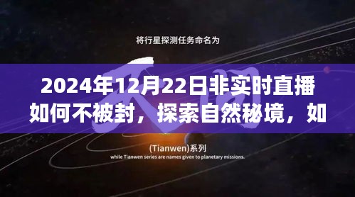 探索自然秘境的心灵之旅，非实时直播如何避免封禁，开启心灵之旅