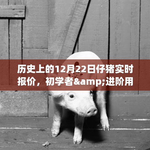 放浪形骸 第2页