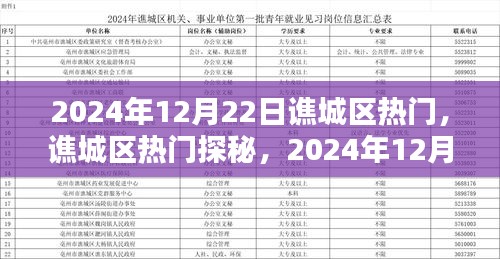 谯城区热门探秘，2024年12月22日精彩瞬间