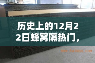革命性科技产品蜂窝隔热门，颠覆认知的极致体验历程回顾