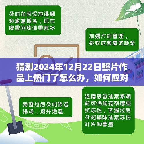 如何应对摄影作品在特定日期（2024年12月22日）走红，策略与建议