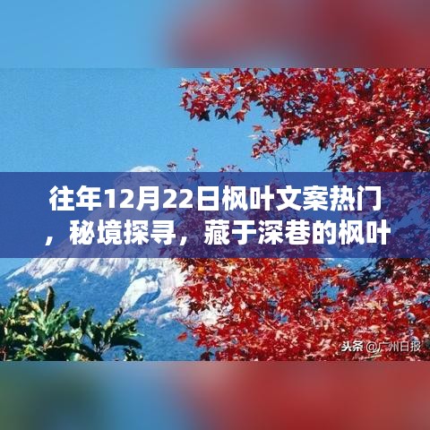 秘境探寻，枫叶秘境小店，深巷中的热门宝藏文案