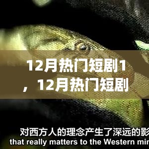 12月热门短剧启示录，变化中的学习与自信成就之旅