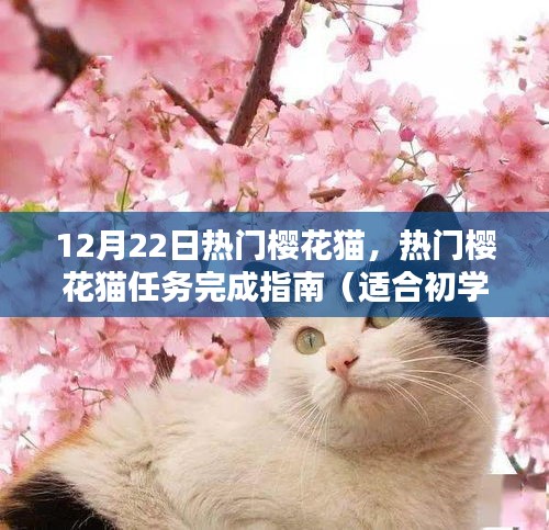 热门樱花猫任务完成指南，从初学者到进阶用户的攻略指南（12月22日版）