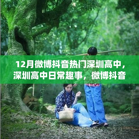 深圳高中日常趣事与微博抖音热点温暖岁月回顾