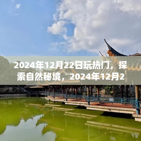 探索自然秘境，揭秘热门旅行地，寻找内心的宁静与平和——2024年12月22日的旅程