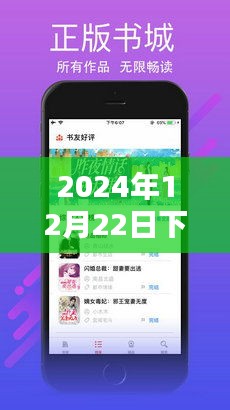 2024下半年热门小说推荐指南，从入门到精通