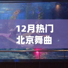 与自然共舞，北京舞曲探秘与内心的宁静乐章（12月热门舞曲盘点）