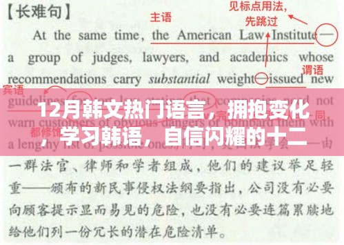 十二月韩语励志之旅，拥抱变化，自信闪耀的学习之旅
