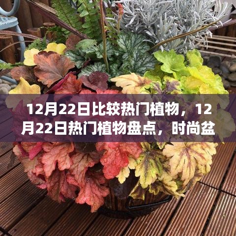 志在四方 第3页