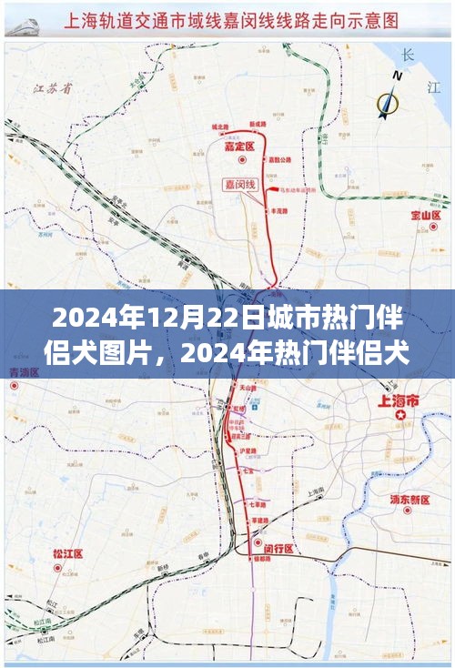 学贵有疑 第3页