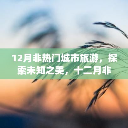 无影无踪 第3页