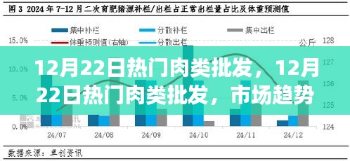 12月22日热门肉类批发趋势及市场与个人观点探析