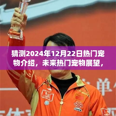 未来宠物展望，预测2024年12月22日热门宠物潮流趋势