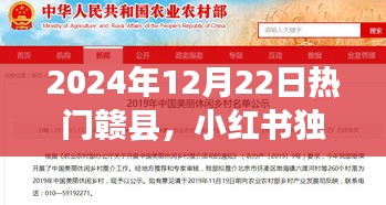 小红书独家揭秘，赣县热潮涌动背后的新风尚，探寻当地时尚前沿动态！