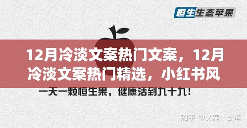 温暖你的十二月，小红书风格精选冷淡文案