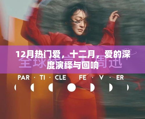 十二月爱的深度演绎与回响，爱的回响在冬季绽放
