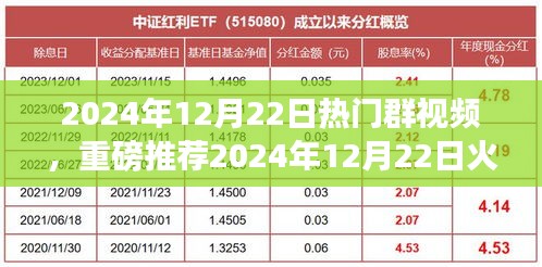 2024年12月22日火爆群视频盛宴，视觉狂欢，不容错过