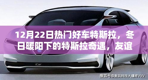 冬日暖阳下的特斯拉奇遇，友谊与爱在特斯拉的传递