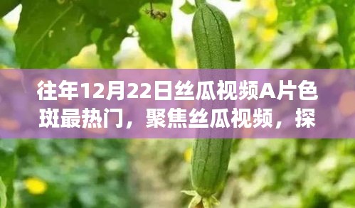 警惕！丝瓜视频内容与热度的双刃剑效应，聚焦色斑话题的争议与反思