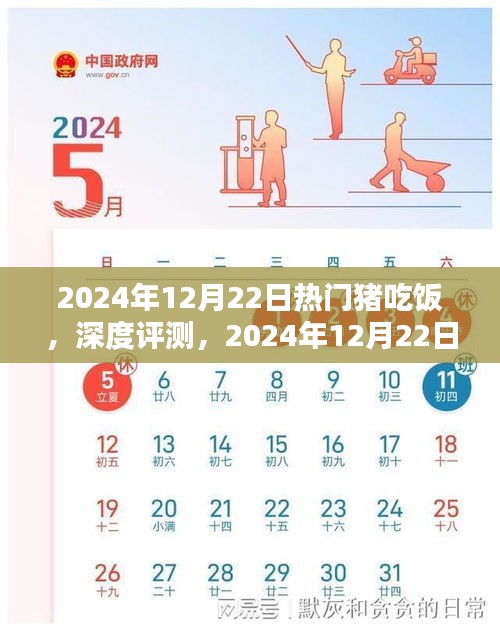 2024年热门猪吃饭产品深度评测与体验报告