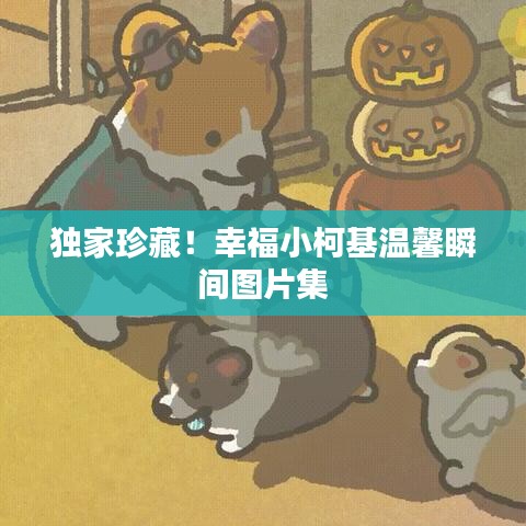 独家珍藏！幸福小柯基温馨瞬间图片集