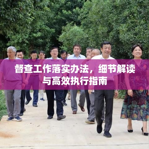 督查工作落实办法，细节解读与高效执行指南