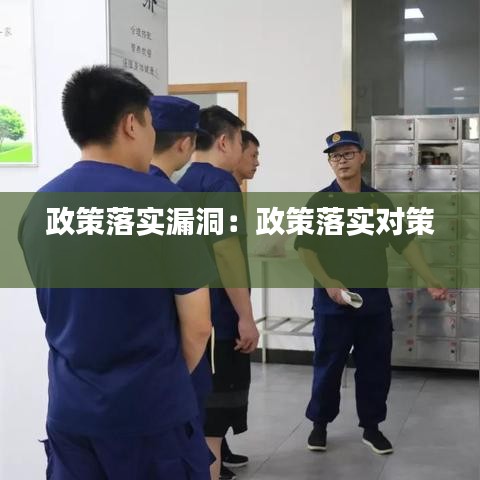 政策落实漏洞：政策落实对策 