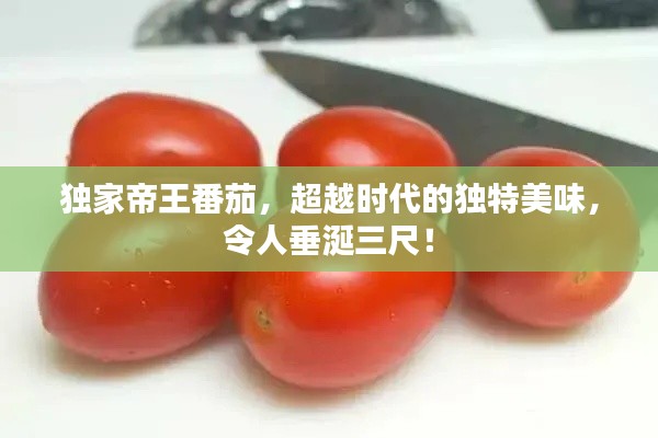 寒蝉僵鸟 第3页