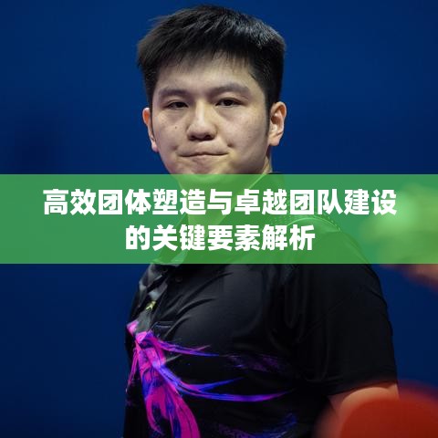 高效团体塑造与卓越团队建设的关键要素解析