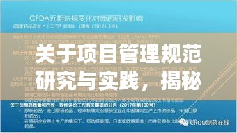 关于项目管理规范研究与实践，揭秘22163项目的成功之道