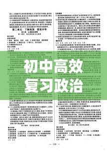 初中高效复习政治答案：政治高效课堂九年级 