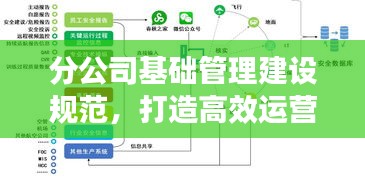 分公司基础管理建设规范，打造高效运营体系的关键要素