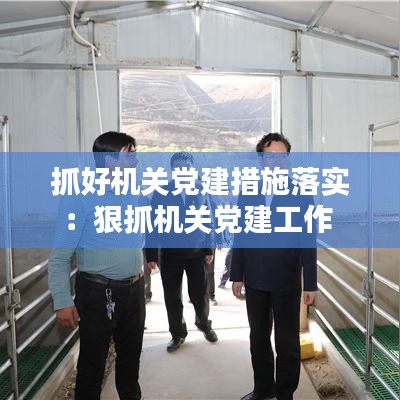 抓好机关党建措施落实：狠抓机关党建工作 