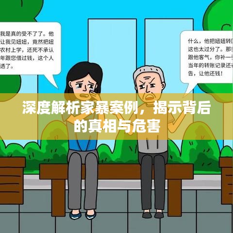 深度解析家暴案例，揭示背后的真相与危害