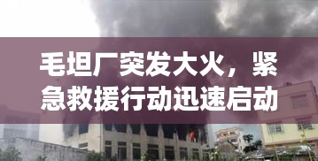 毛坦厂突发大火，紧急救援行动迅速启动，现场情况如何？