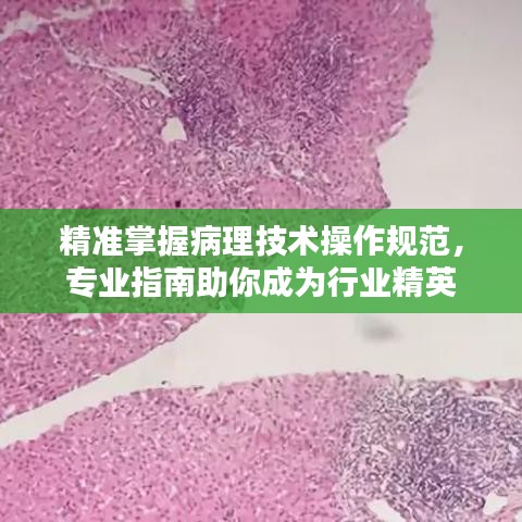 精准掌握病理技术操作规范，专业指南助你成为行业精英