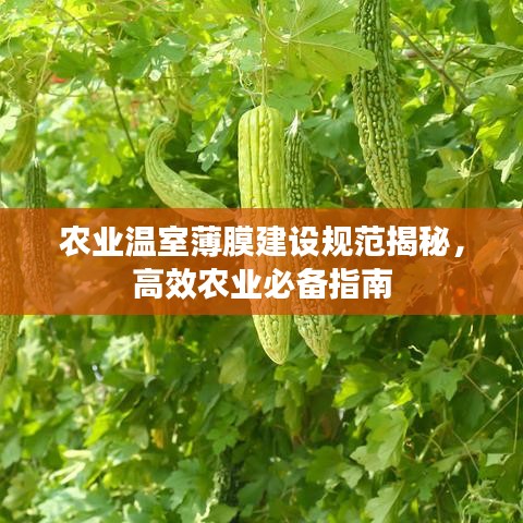 农业温室薄膜建设规范揭秘，高效农业必备指南