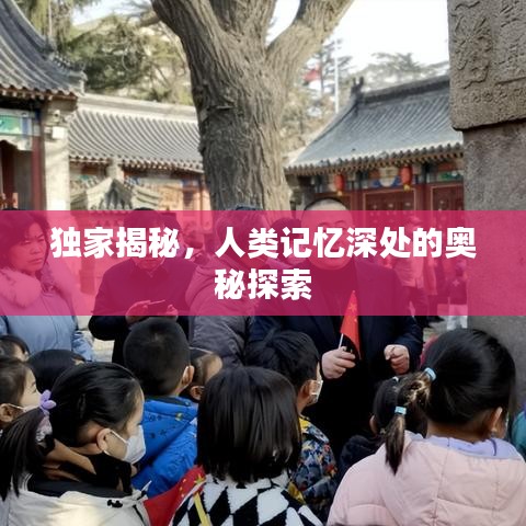 独家揭秘，人类记忆深处的奥秘探索